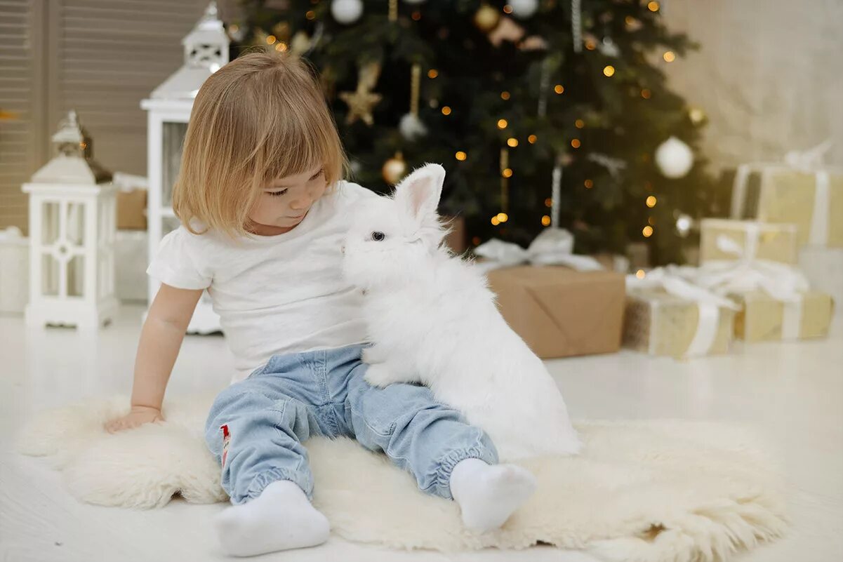 Ребенок в год кролика. Новогодняя фотосессия с кроликом. Новогодняя фотосессия с Крошиком. Новогодние фотосессис кроликом. Детская Новогодняя фотосессия с кроликом.
