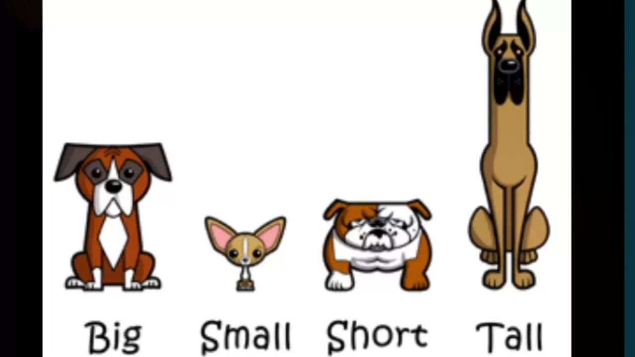 And two small. Big small long short. картинки tall short. big small картинки для детей. big small long short for kids.