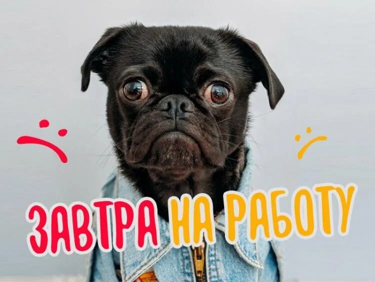 Смешные картинки не хочу на работу. Завтра на работу прикольные. завтра на работу картинки прикольные. а завтра на работу картинки приколы. завтра на работу картинки прикольные смешные.