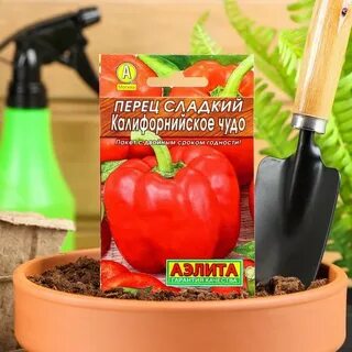Перец сладкое чудо отзывы
