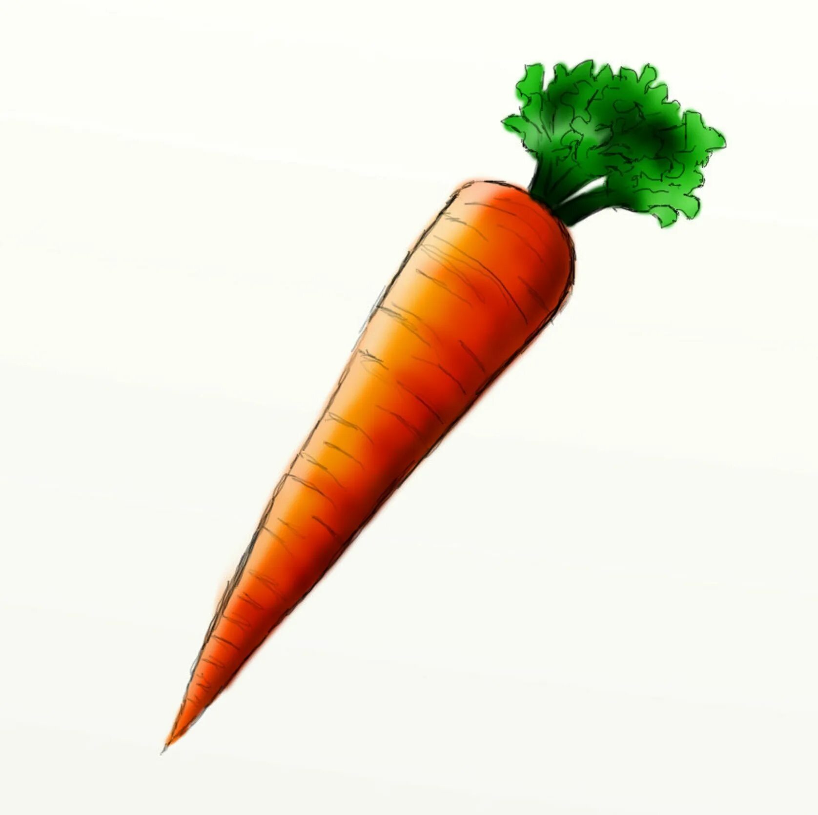 Морковка картинка для детей. Морковь для детей. Морковь рисунок. Морковка рисунок карандашом.