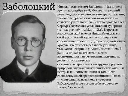 Характеристика заболоцкого