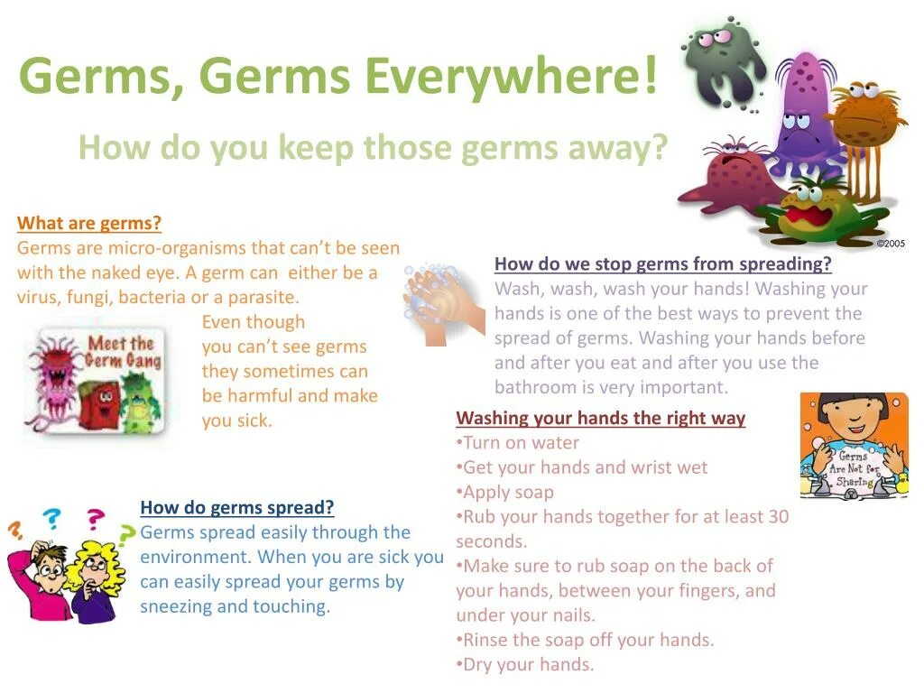 Germs 1999. Germ перевод. What are Germs? Книга цена. Germ Sheets.