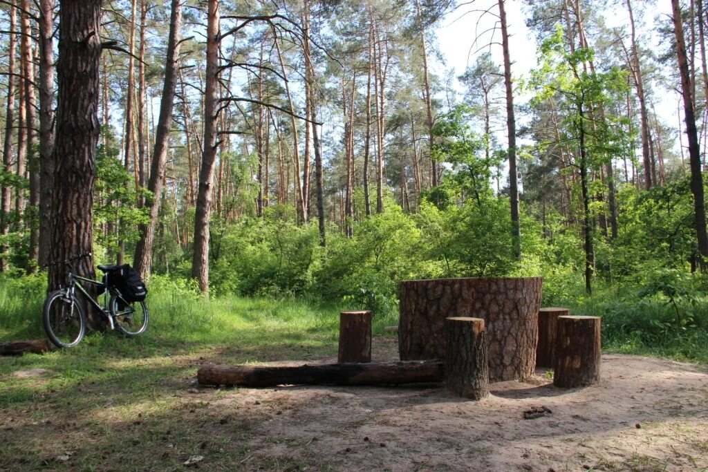 Парк в партизанском. Тропа здоровья Сокольники. Партизанская тропа Красноярск. Шарташ Беговая тропа. Лесопарк на Партизанской.