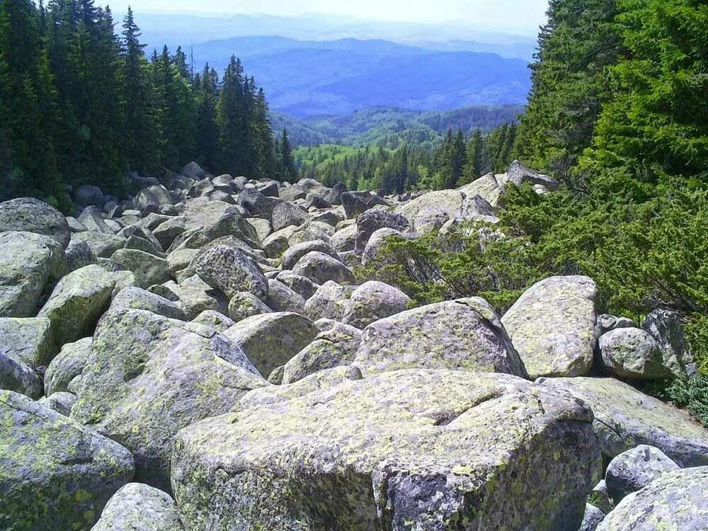 Stone runs. Таганай национальный парк каменная река. Златоуст Таганай каменная река. Челябинская область каменная речка Таганай. Курумник Таганай.