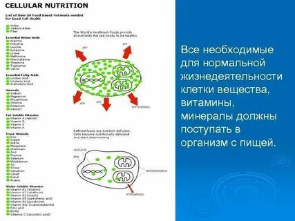 Проведение веществ в клетку