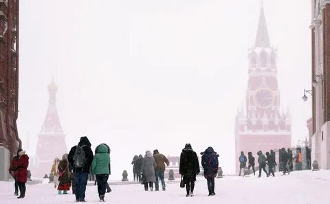 8 градусов москва