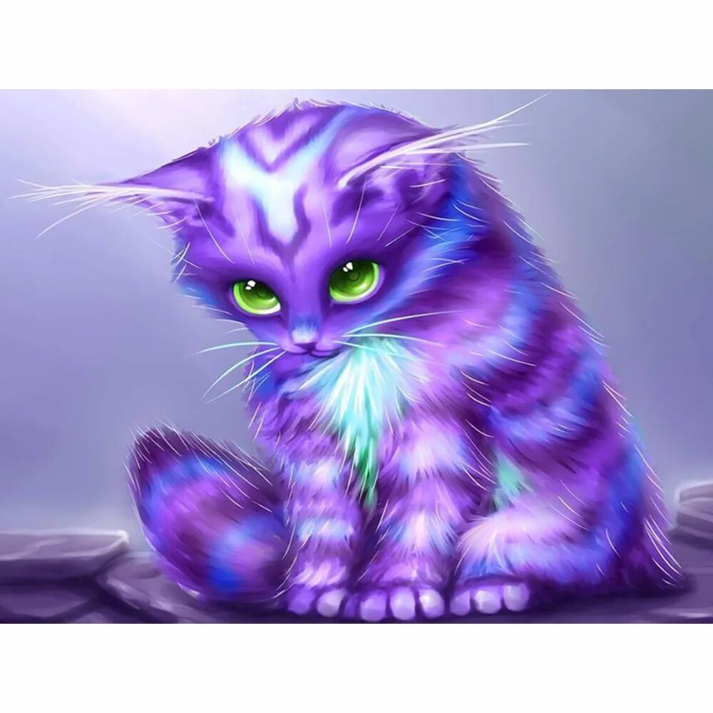 Фиолетовый кот. Фиолетовая кошка. Сиреневый кот. Фиолетовые животные. Фиолетовая кошка.