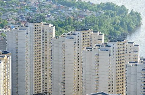 Дельфин воронеж фото