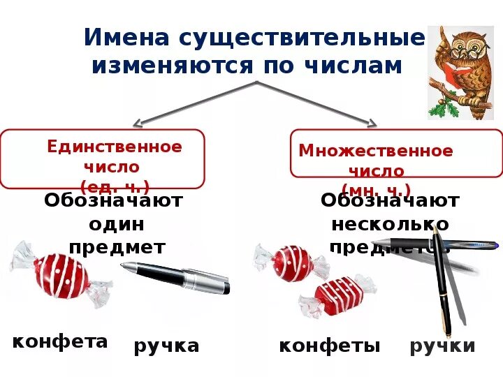 Единственного и множественного числа сущ 2 кл. Имя существительное 2 класс число. Число имён существительных 2 класс. Как определить число имен существительных 2 класс.