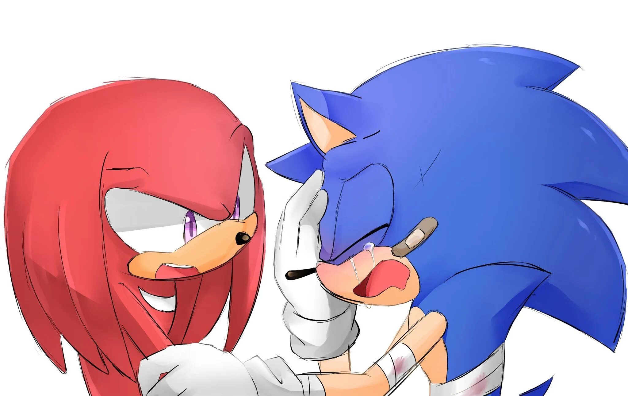 Sonic x knuckles. Соник икс наклз. соник и наклз. sonic наклз. соник и наклз арт.