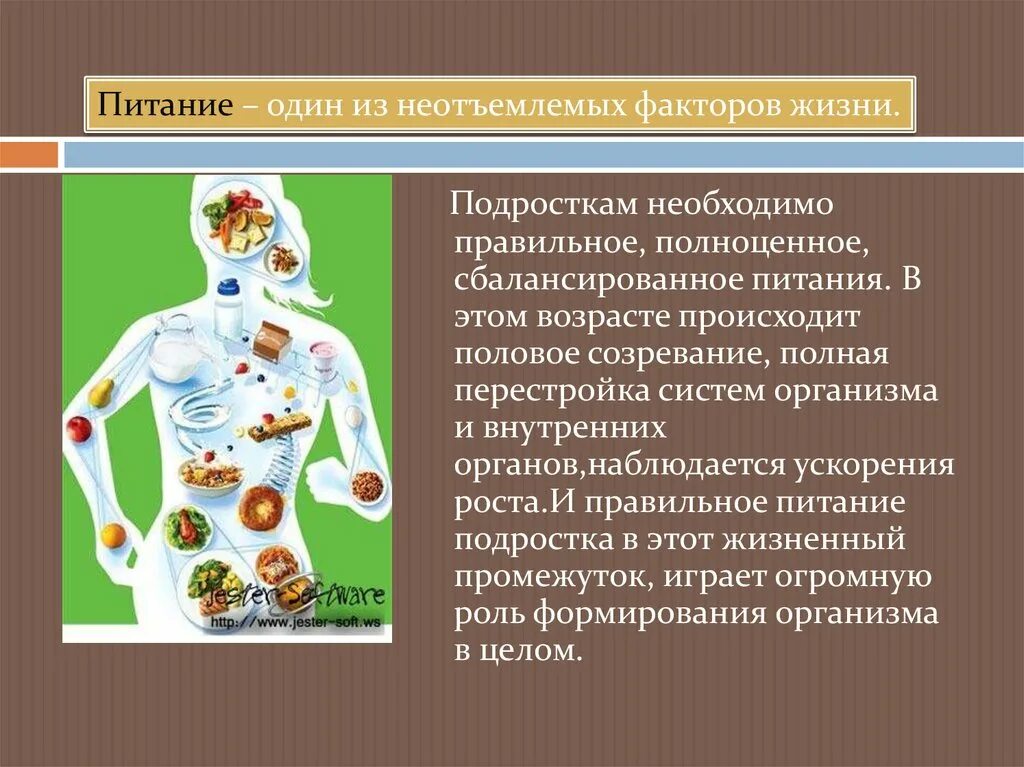 Правильное питание подростка презентация. Рациональное питание подростков. Значение питания для подростка. Особенности питания подростков