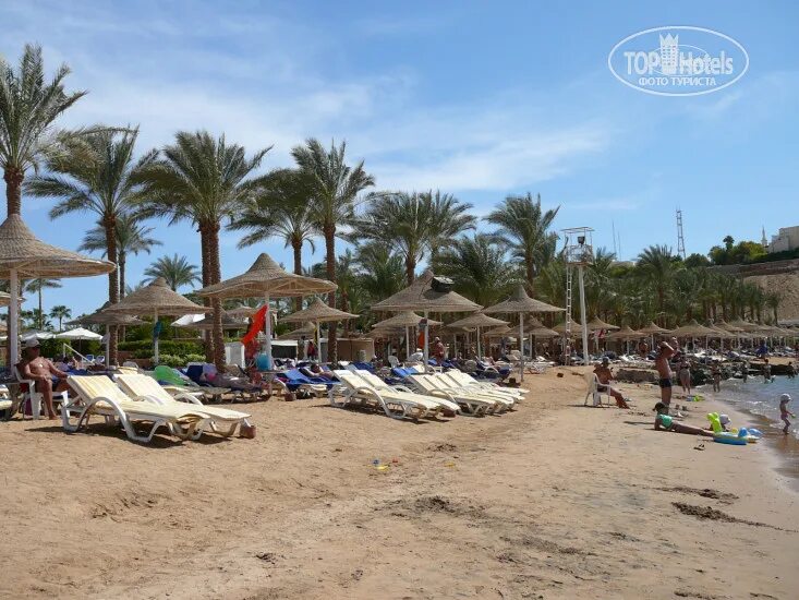 Seti Sharm 4. Fun&Sun Smart Seti Sharm 4*. Seti Sharm 4 пляж. Fun Sun Smart Seti Sharm 4 пляж.