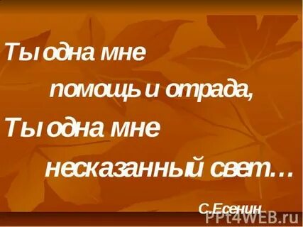 Вы улыбнетесь мне отрада вы отвернетесь