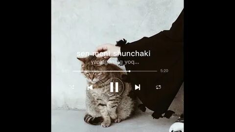 Sen meni mp3