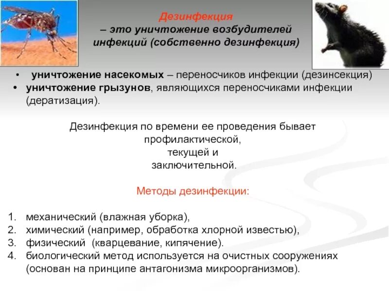 Меры по уничтожению насекомых. Уничтожение насекомых переносчиков инфекционных заболеваний. методы дезинфекции и дератизации. мероприятия по уничтожению грызунов. методы дезинсекции и дератизации.