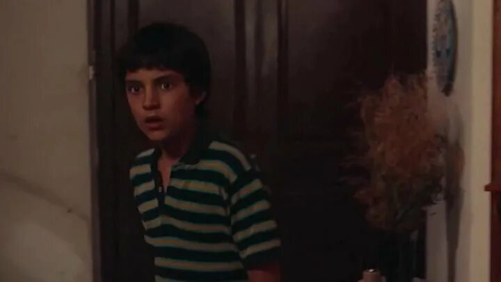 La vida sense la sara amat (2019) италия. Жизнь сары амат. Life without sara amat 2019. Life without sara amat 2019. Жизнь без сары амат / la vida sense la sara amat - 2019.