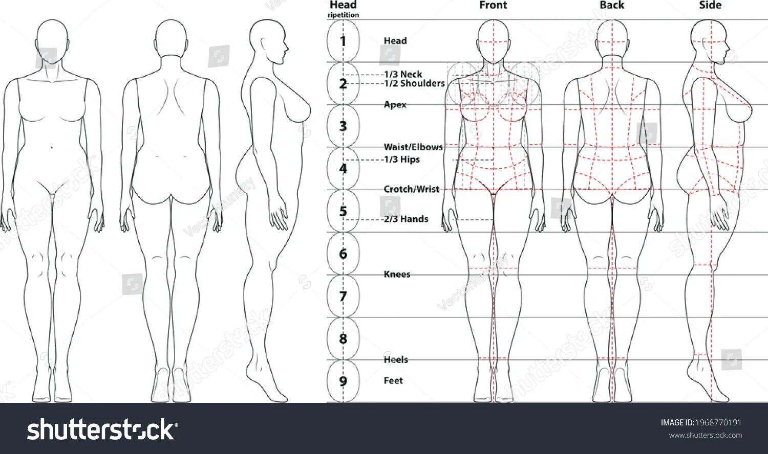 Complete with giving proportion take