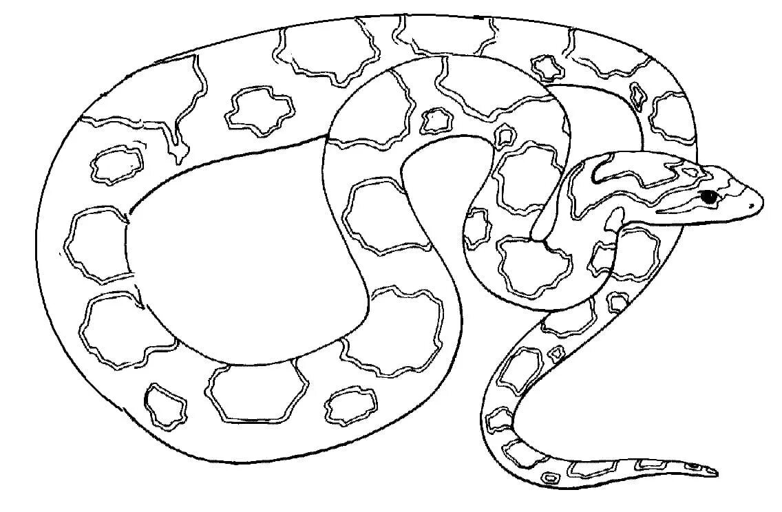 Змея раскраска. Раскраска змеи для детей. Раскраска о змеях. Змея раскраска для детей. Раскраска змей для детей