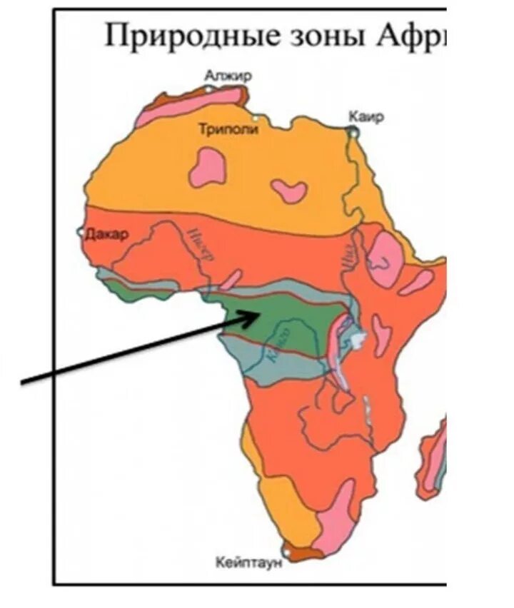 Карта природных зон Африки. Природные зоны Африки экваториальные леса. Зона экваториальных лесов Африки на карте. Экваториальные леса Африки на карте. Какие природные зоны в восточной африке
