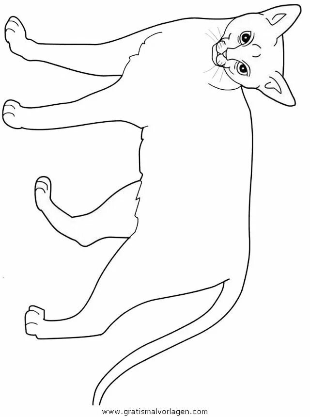 Стоящий кот рисунок