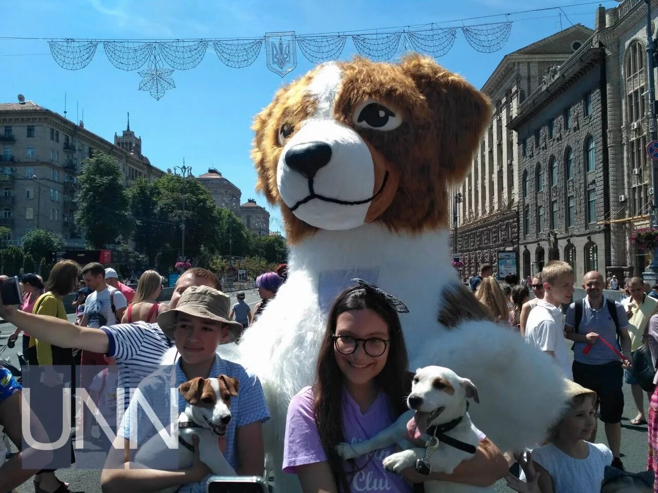 Собака на параде итальянцев. Германия шествие с собаками. Парад пород собак. Парад собак Москва. Пес парад