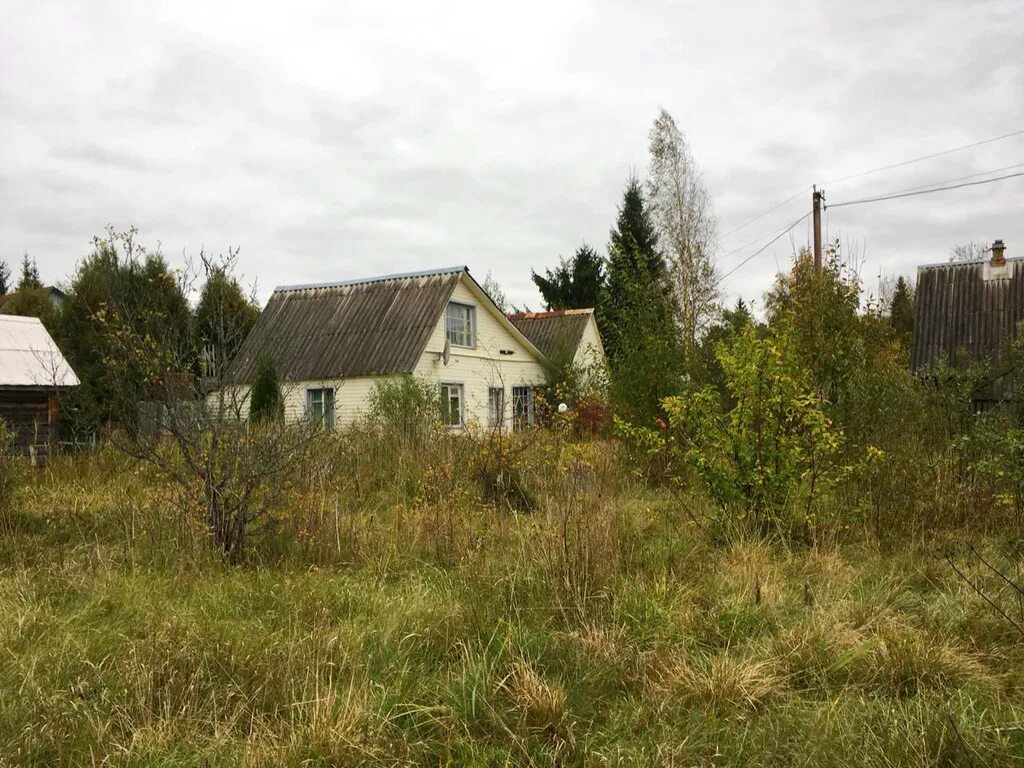 Трубников бор садоводство азимут. Снт трубниково. Снт радиатор трубников бор. Трубниково садоводство. Трубников бор ленинградская область.