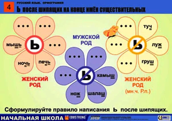 Школа мужской род. Правописание ь на конце имён существительных после шипящих правило. Мягкий знак после шипящих на конце существительных. Мягкий знак на конце имен существительных после шипящих. Правописание мягкого знака на конце имен существительных.