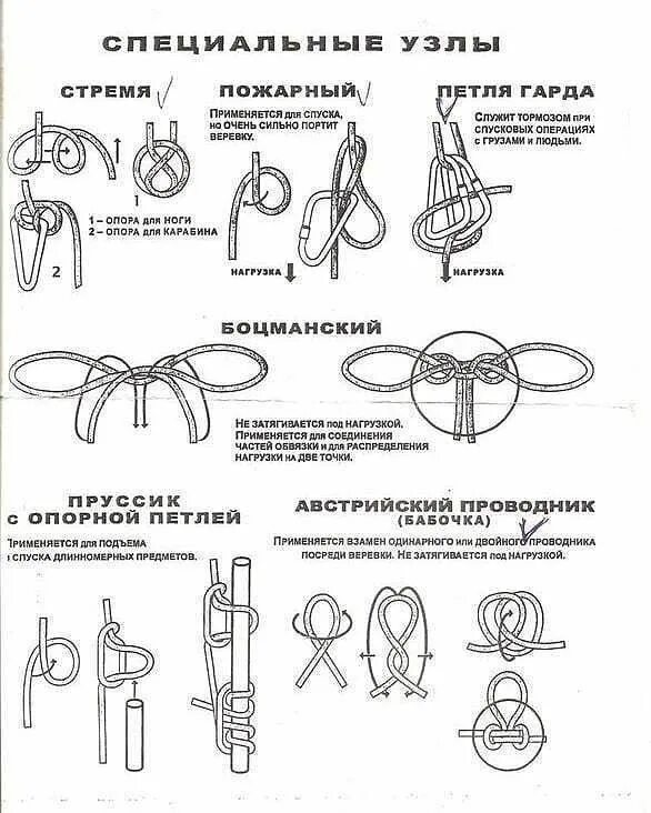 Построение филогенетических деревьев