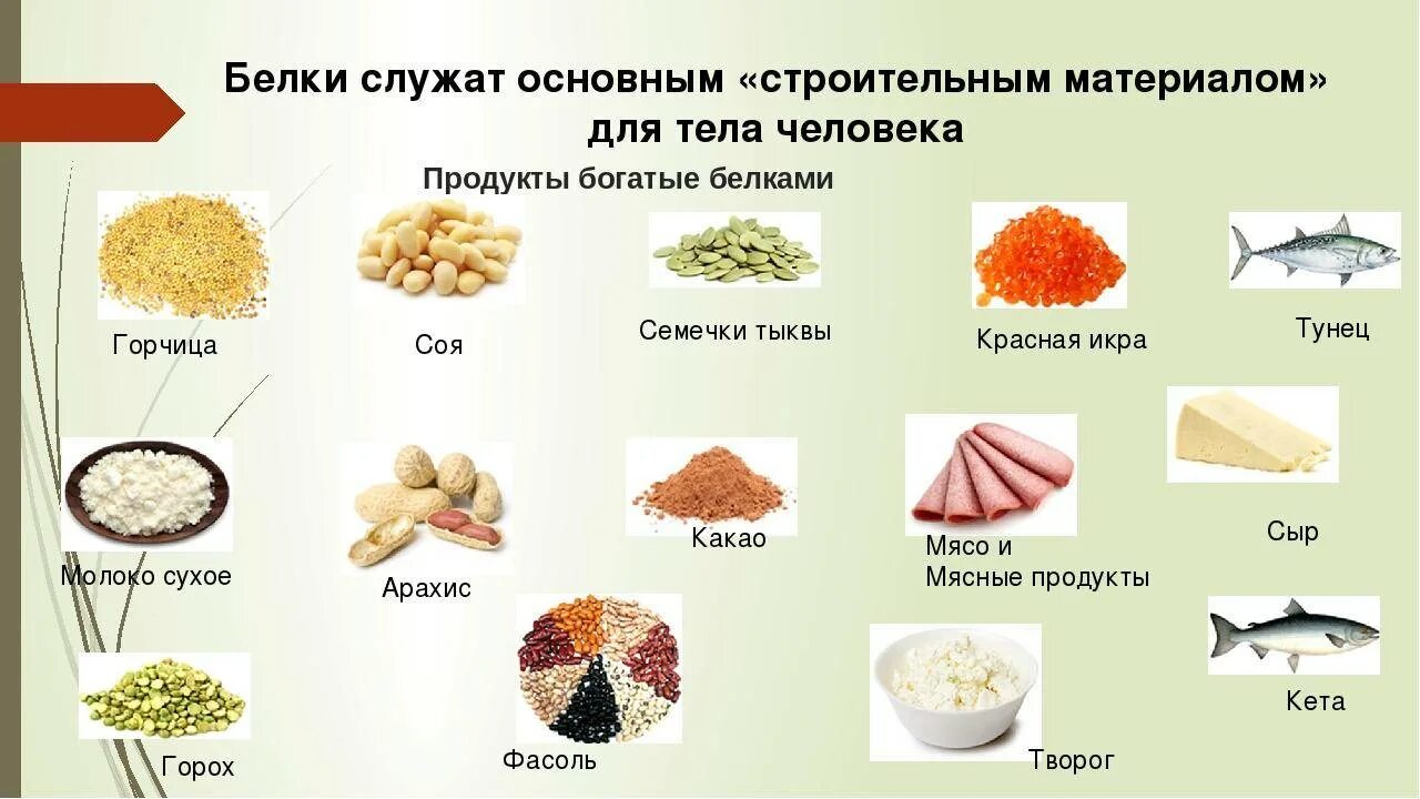 Где находятся белки. Продукты богатые белками. Продукты богатые велком. Продукты питания богатые белками. Продукты богатые Белко.