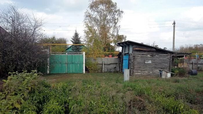 Колтуновка Алексеевского района Белгородской области. Алейниково Белгородская область. Алейниково Алексеевский район. Село Колтуновка Алексеевский район Белгородская область. Снять дом в белгородской области на длительный