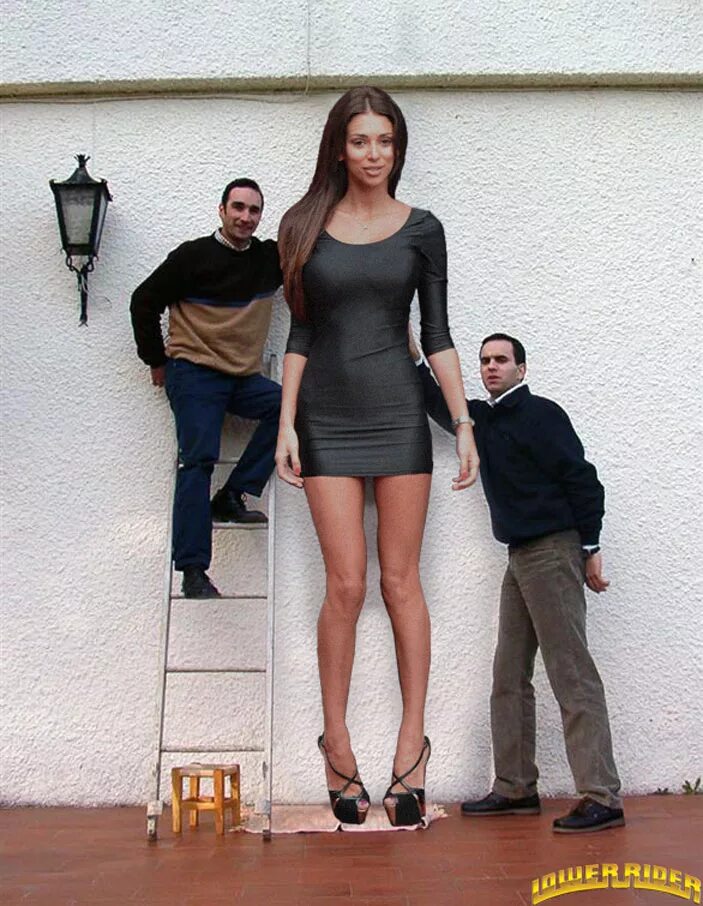 Высокие девушки видео. Tall Josephine рост. Высокие девушки. Высокорослые девушки. Красивые девушки 190 см.