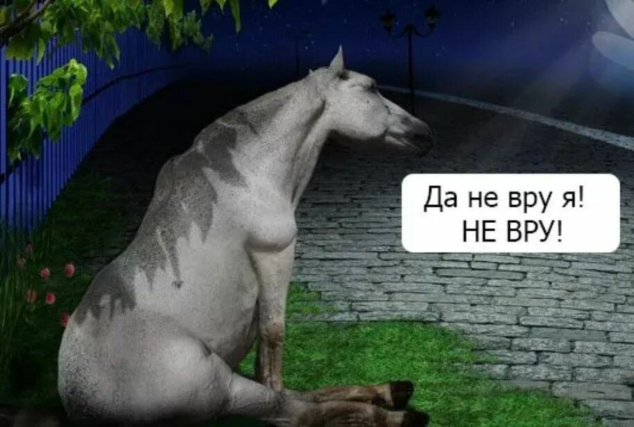 Сивая кобыла значение. Сивый мерин. врет как сивый мерин. сивая кобыла по. врёт как сивый мерин значение.