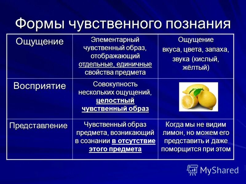 Чувственный образ предмета. Формы чувственного и рационального познания. Формы чувственного познания. К формам чувственного познания относят ощущение наблюдение описание. Выберите основные формы чувственного познания:.
