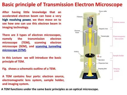 Transmission microscopy