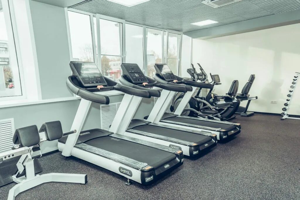 тренажерный северск. олимпия северск тренажерный зал. тренажерный северск. беркут северск тренажерный зал. фитнес 365.