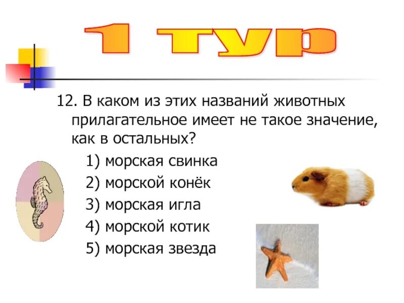 Коричнево желтая какое прилагательное. Животные прилагательные. прилагательные к животному. животное какое прилагательное. животное и прилагательное к нему.