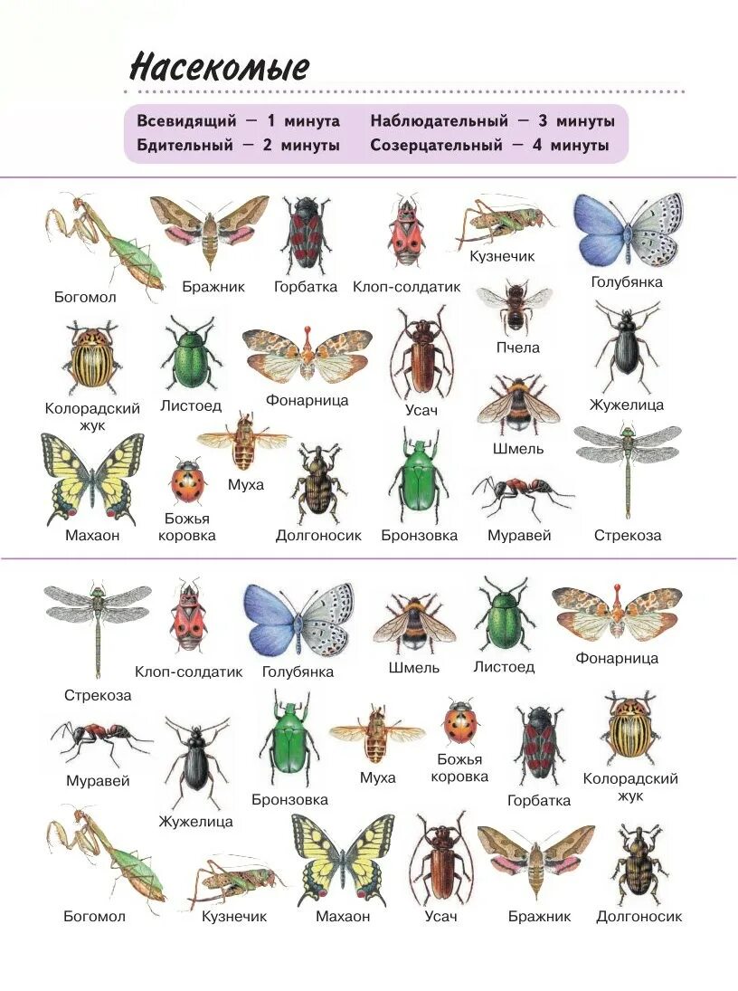Атлас определитель насекомые 2 класс. Плешаков атлас определитель насекомые. Атлас определитель насекомых 1 класс окружающий мир. Атлас определитель название Жуков 1 класс. Виды насекомые список