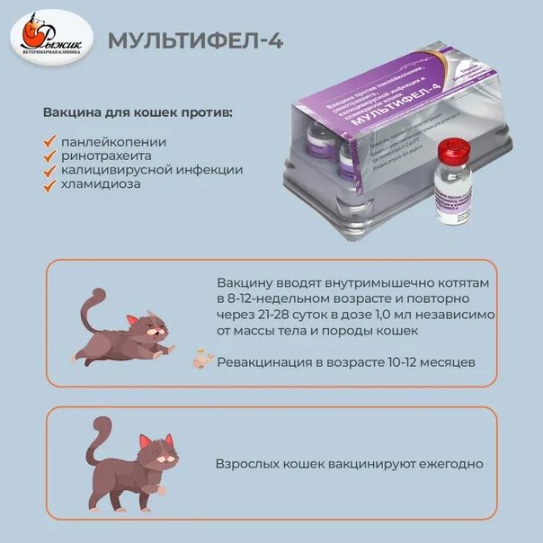 Инструкция вакцины мультикан 4. Мультифел 8 для кошек. Мультифел 6 для кошек. Мультифел 4 схема вакцинации кошек. Мультифел или Мультифел 4 для кошек.