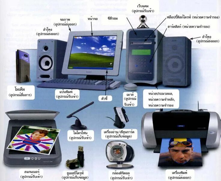 What are the output devices. Устройства вывода изображения. устройства вывода информации в компьютер. input and output devices. input devices and output devices.
