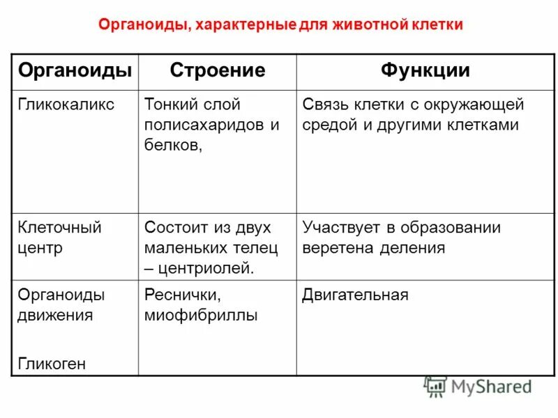 Органеллы передвижения. Органоиды движения строение и функции таблица. Органоиды движения строение таблица. Строение органоида органоиды движения.