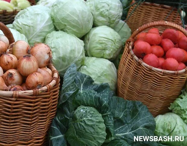 Башкирские продукты. Башкирские фермеры. продукты по башкирски. башкирская продукция уфа. башкирская еда в магазине.