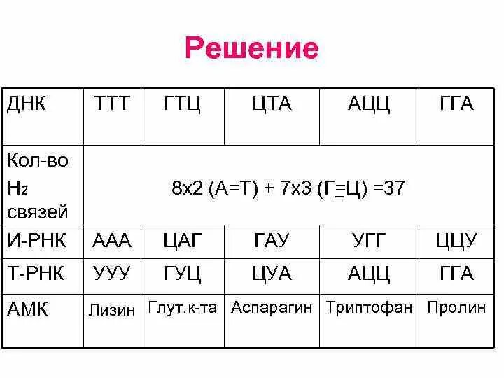 Гтцацагцгатцаат определите последовательность аминокислот во фрагменте
