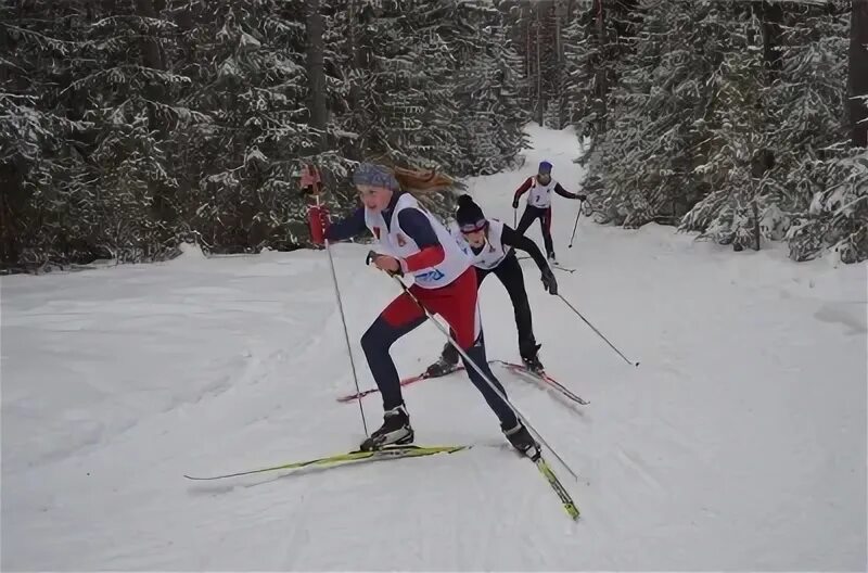 Пестово спортивный комплекс. Гости турнир гольф. Пестово спорт. Пестово спорт. Уктус футбольная площадка.