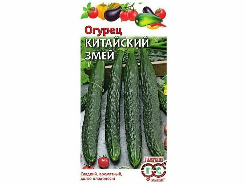 Огурец китайский вкусный. Огурец китайский длинноплодный. Огурец китайский джин 1. Огурец китайский болезнеустойчивый f1 седек. Огурец китайский длинноплодный.