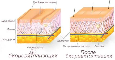 Проникать в кожу