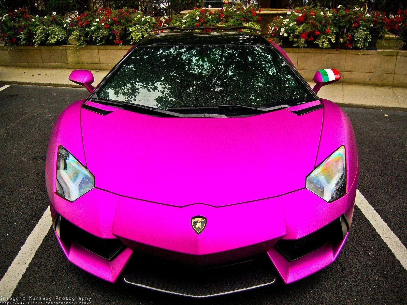 Где розовые машины. Lamborghini Aventador lp700-4 розовая. Пурпл Ламборджини. Lamborghini Aventador lp700-4 фиолетовый. Lamborghini Aventador lp700 розовый.
