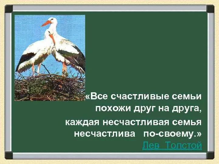 Все счастливые семьи похожи друг на друга. Все счастливые семьи. Все счастливые семьи похожи друг на друга каждая несчастливая. Каждая счастливая семья счастлива по-своему каждая несчастливая. Фраза льва толстого все счастливые семьи похожи