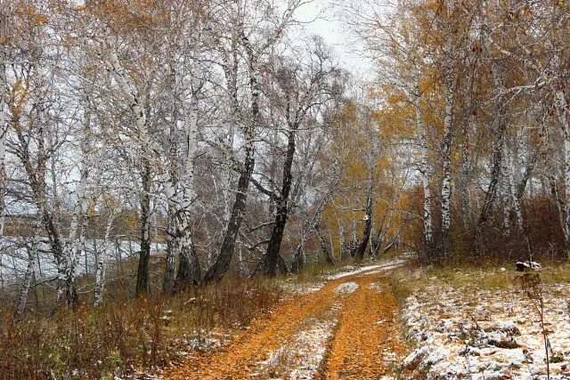 Утро предзимье. С до. Осень, наступающая зима. Доброго осеннего дня с первым снегом. Доброе утро предзимье ноябрь.