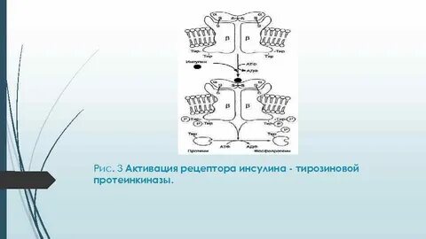 Активация рецептора